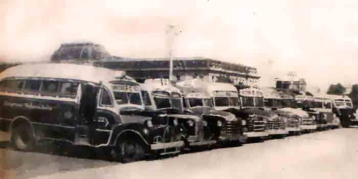 Lineas de colectivos de la ciudadde La Plata Argentina.